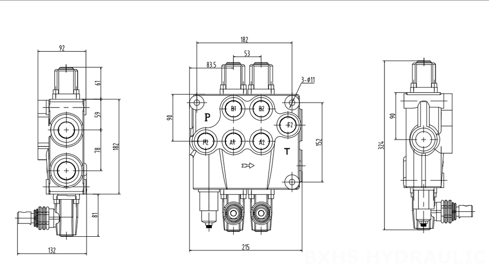 P120 Manuaalinen 2 jakajaa Monoblokki suuntaventtiili drawing image