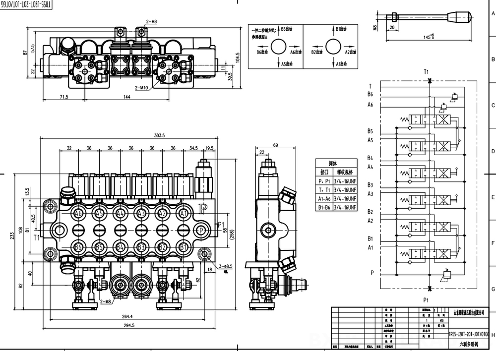 TR55 Ohjaussauva ja manuaalinen 6 jakajaa Monoblokki suuntaventtiili drawing image