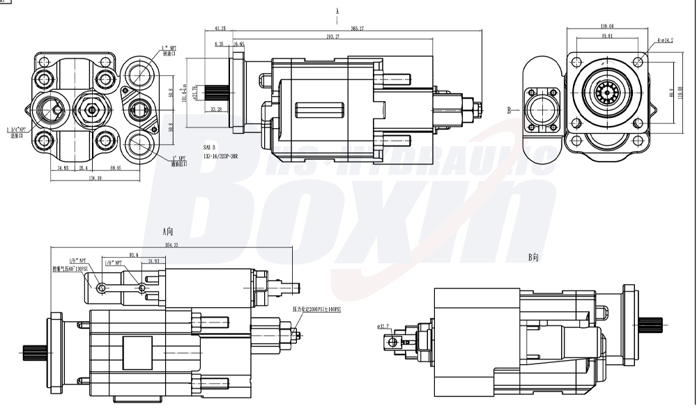 C102 100 cm³/kierros 20 MPa (2900 psi) Hydraulinen hammaspyöräpumppu drawing image