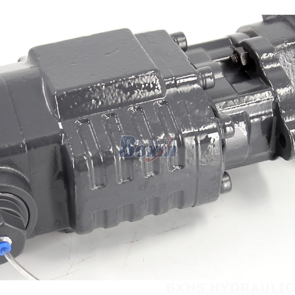 BF110A-ZF1 Hydraulic Gear Pump: OEM, ODM, Private Label & Custom Manufacturing Services detail image