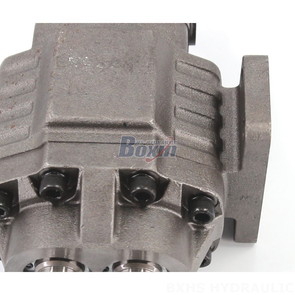 High Performance BF110M Hydraulic Gear Pump for Industrial Applications detail image