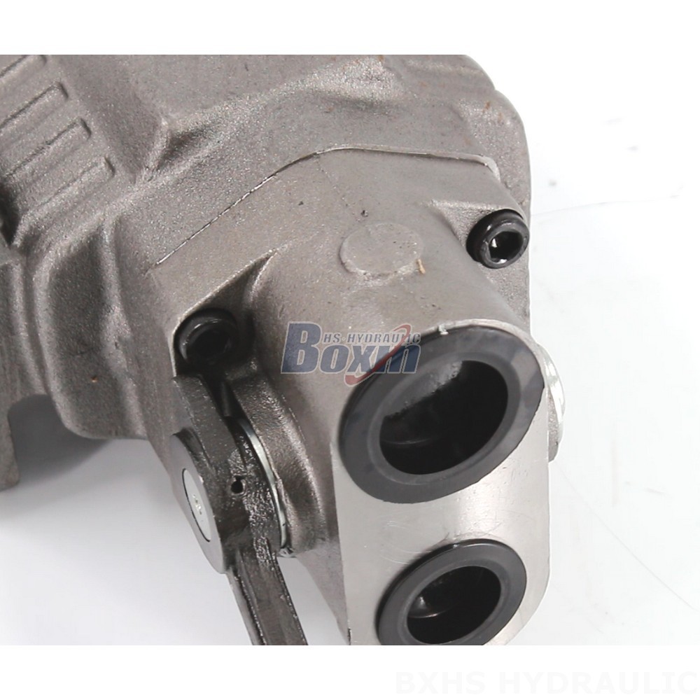 BF110M Hydraulic Gear Pump: OEM, ODM, Private Label, and Custom Solutions Available detail image