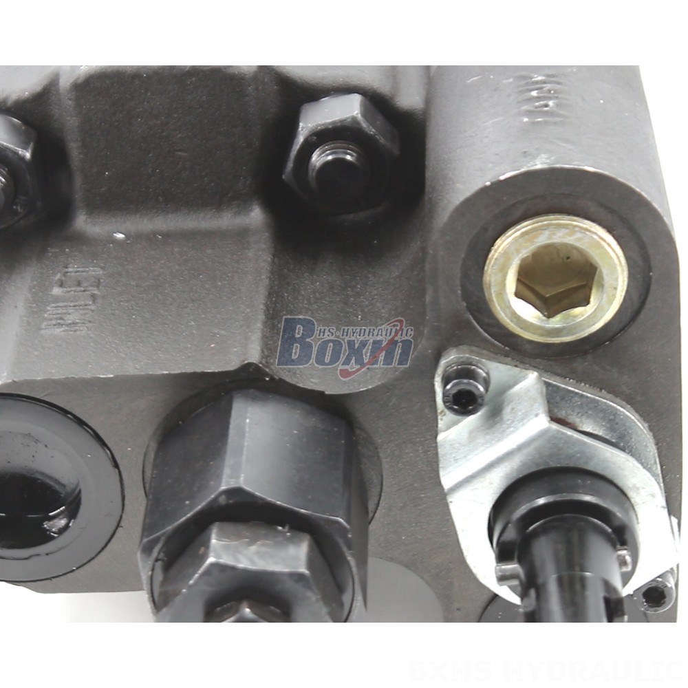 High-Performance C101-25-LAS Hydraulic Gear Pump - Global Manufacturer detail image