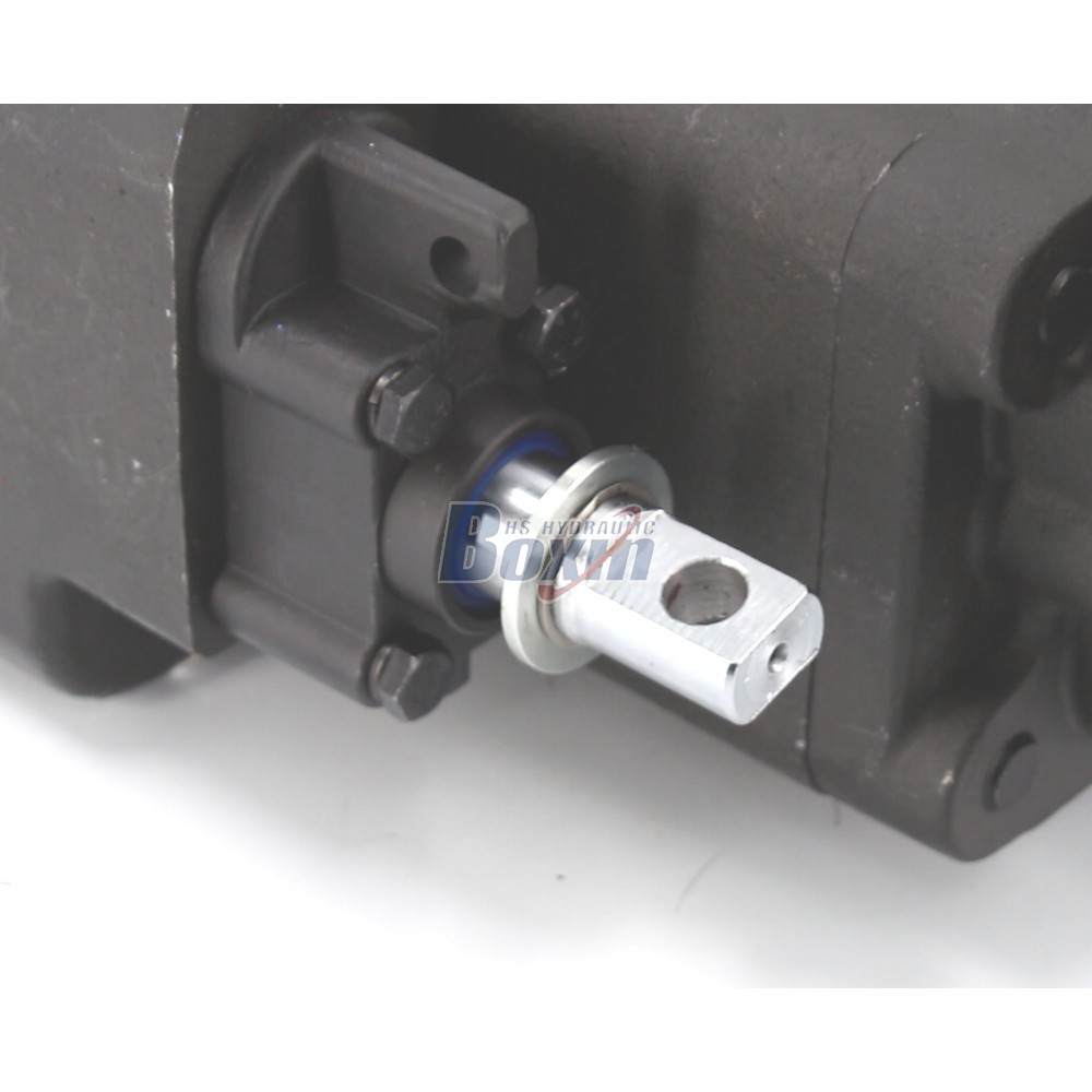 Customized OEM/ODM Solutions for C102-LMS-25 100 cc/rev Hydraulic Gear Pump detail image