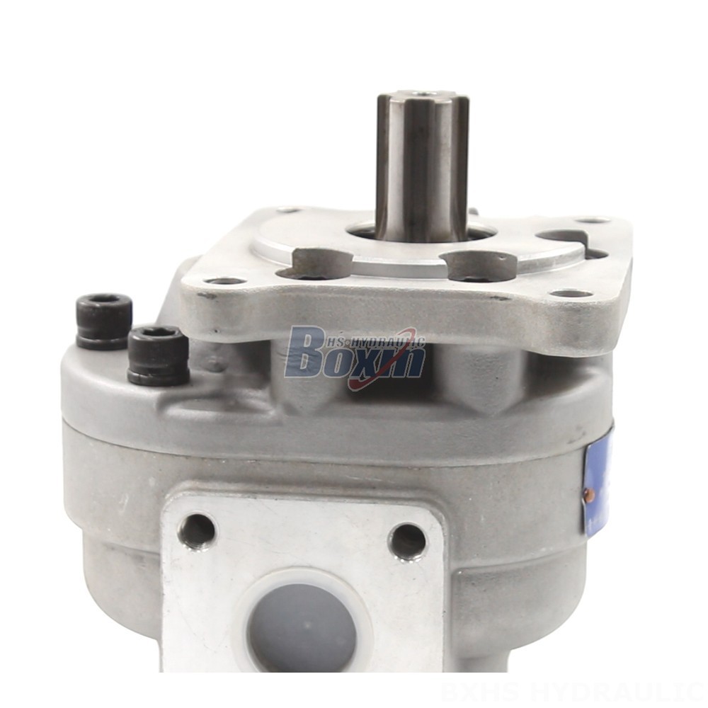 High-Performance Gear Pumps - The CBHS-F550 Series | Wholesale & OEM detail image
