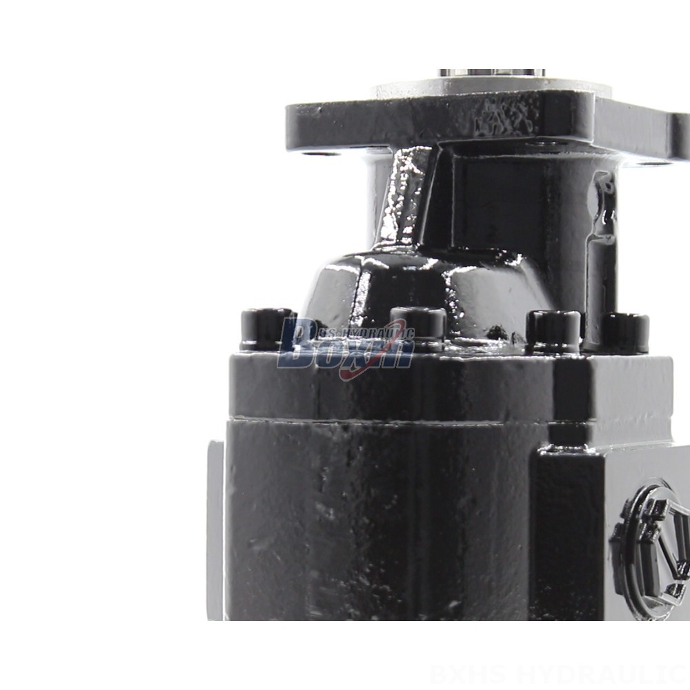 CBHST1-ISO-63 Hydraulic Gear Pump: Advanced Performance, Global Reach detail image