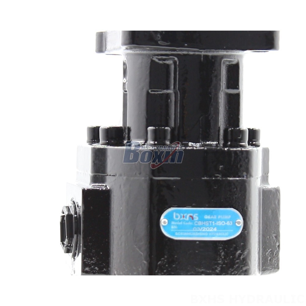 Bespoke Hydraulic Solutions: Leverage Our Expertise for CBHST1-ISO-63 Pumps detail image