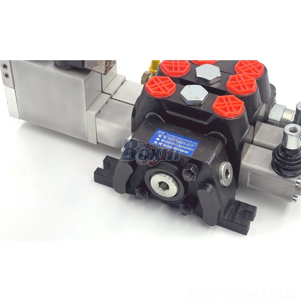 Manufacturer of DCV100 Valves: Wholesale and Customization detail image
