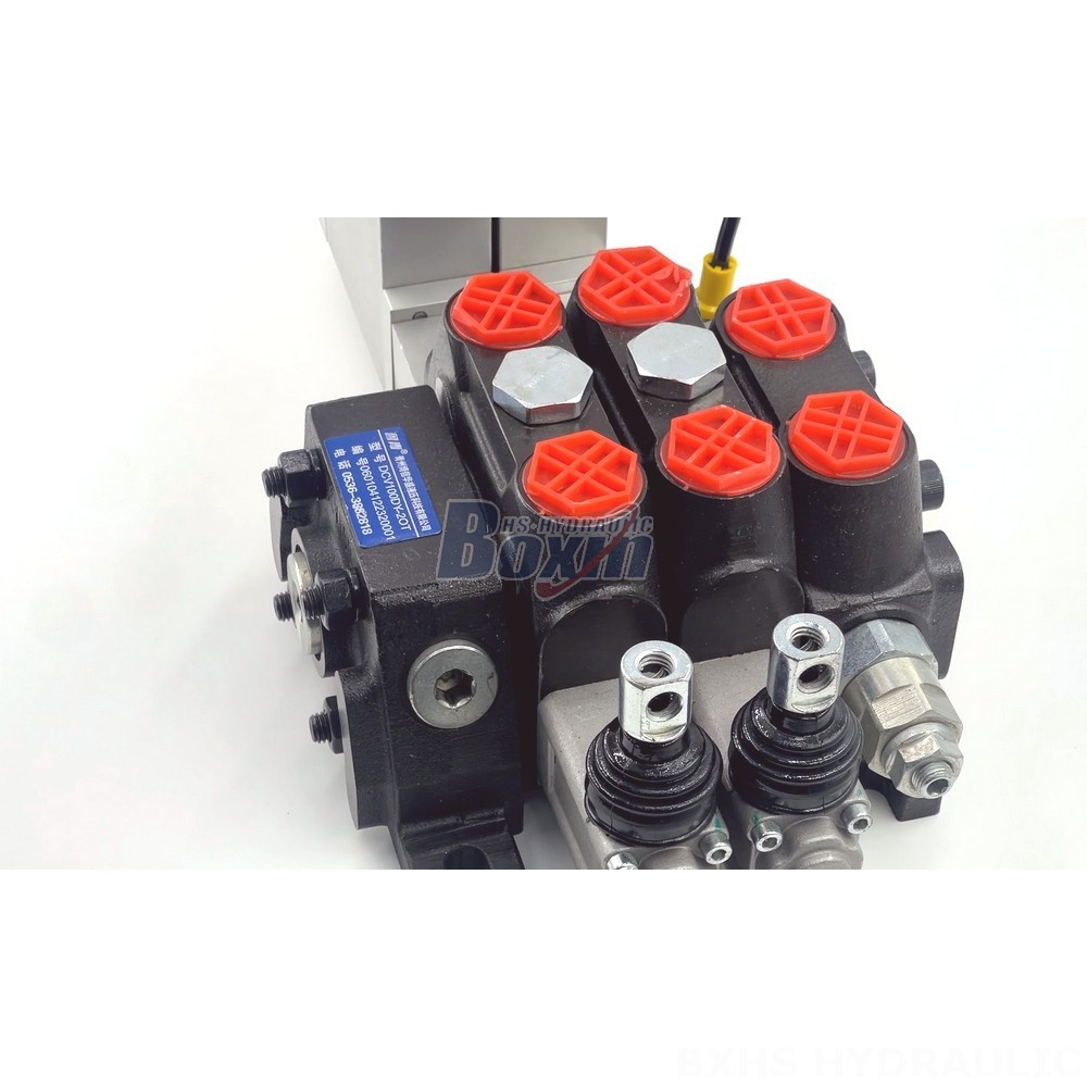 Manufacturer of DCV100 Valves: Wholesale and Customization detail image