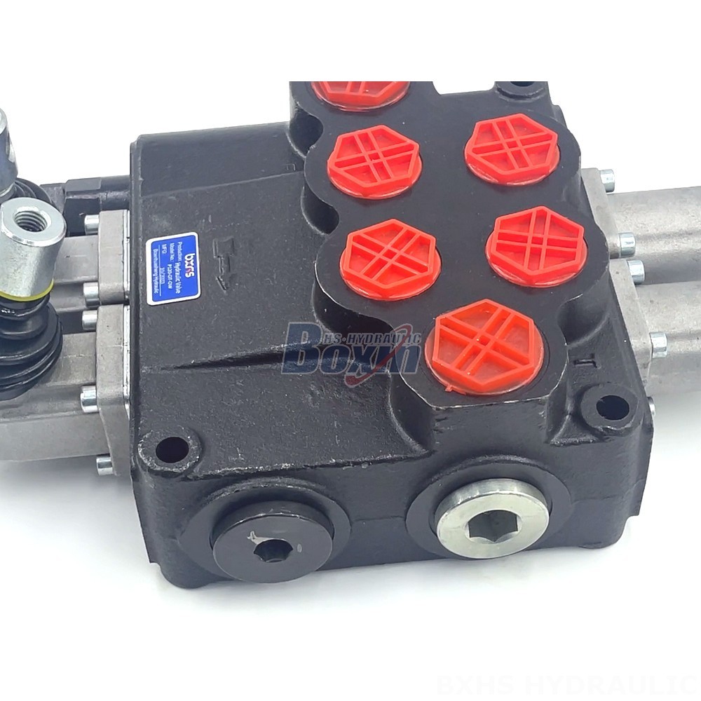 Manufacturer of P120 Monoblock Valves: Wholesale & Customization Available detail image