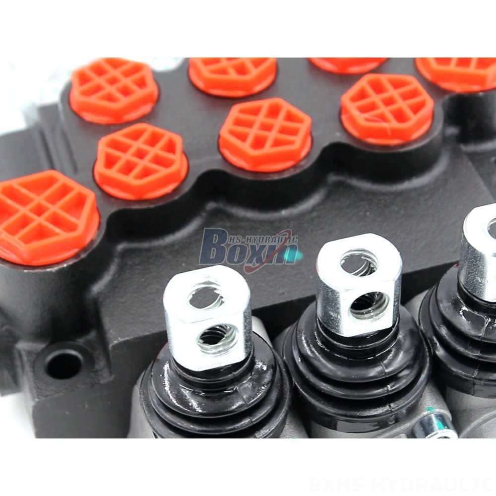Manufacturer of P40-G12-G38-OT-OT-OT Monoblock Valves: Wholesale & Customization Available detail image