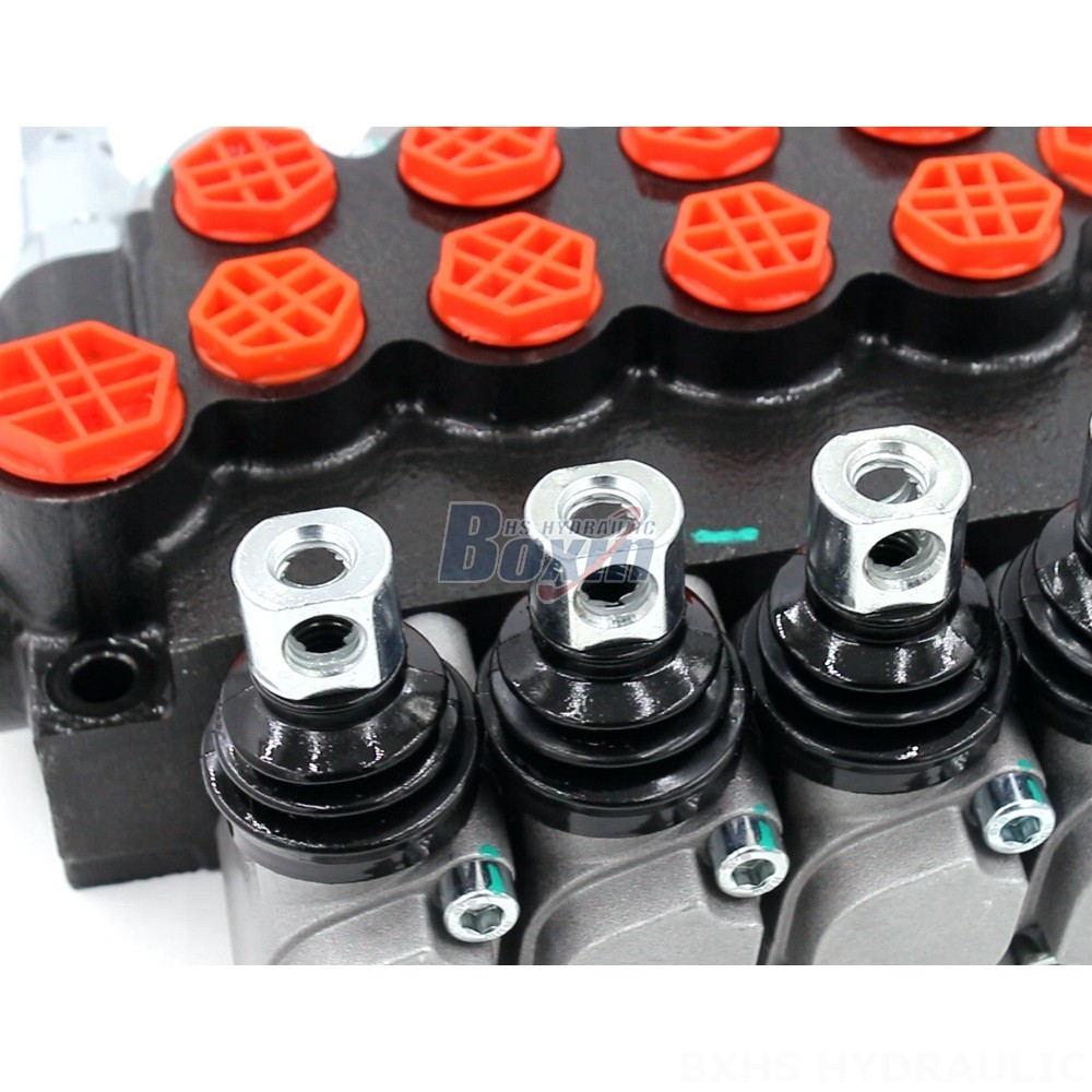 Straight from the Factory: Purchase P40-G12-G38-OT Valves Direct from the Manufacturer detail image
