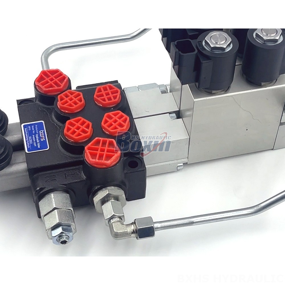 Design and Manufacture to Your Specifications: OEM and ODM for P40 Valves detail image