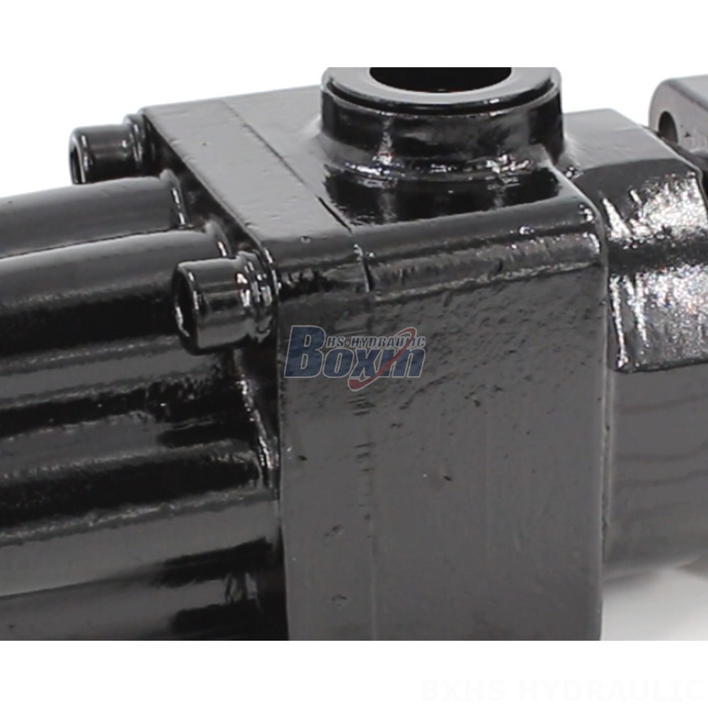 Partnership Opportunities: P6-40 40 cc/rev Hydraulic Piston Pump Manufacturing & Distribution detail image