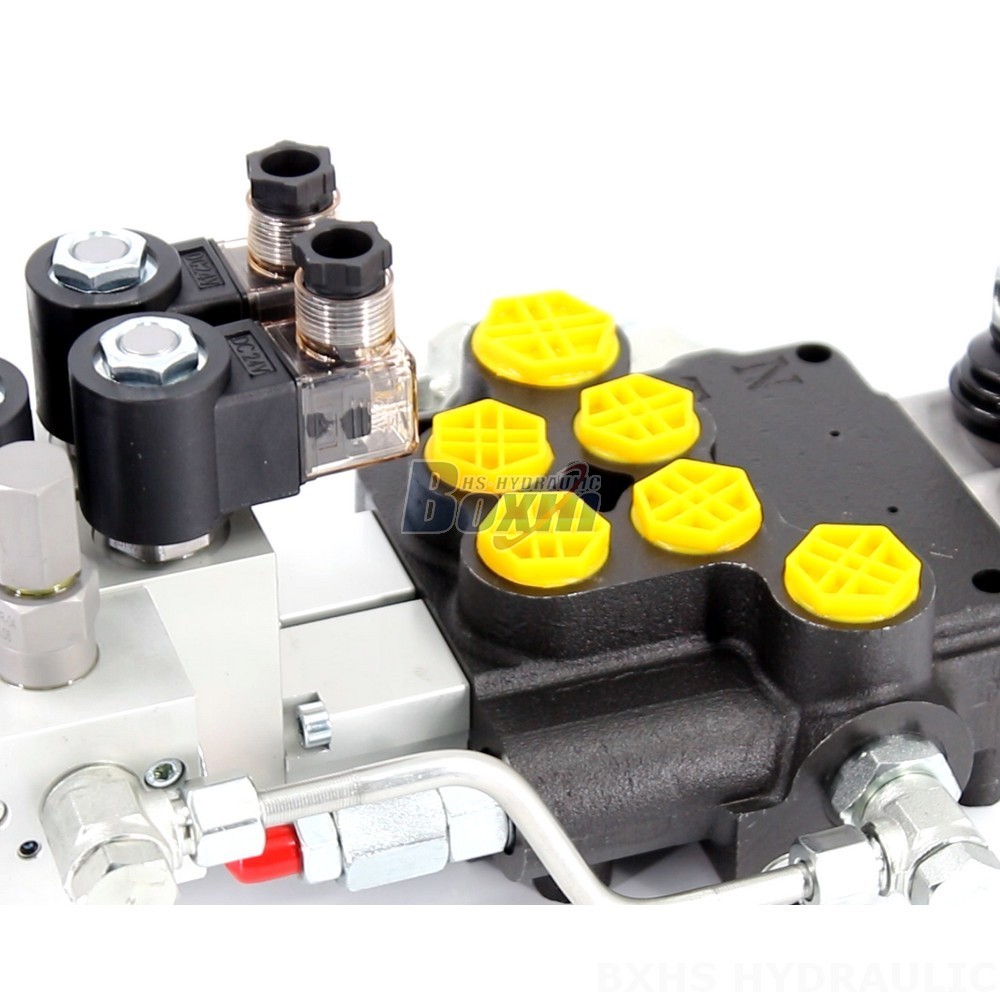 Manufacturer of P80 Monoblock Valves: Wholesale & Customization Available detail image