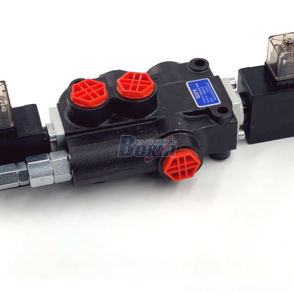 Looking for Hydraulic Valve OEM/ODM? P80 Series Available for Customization detail image