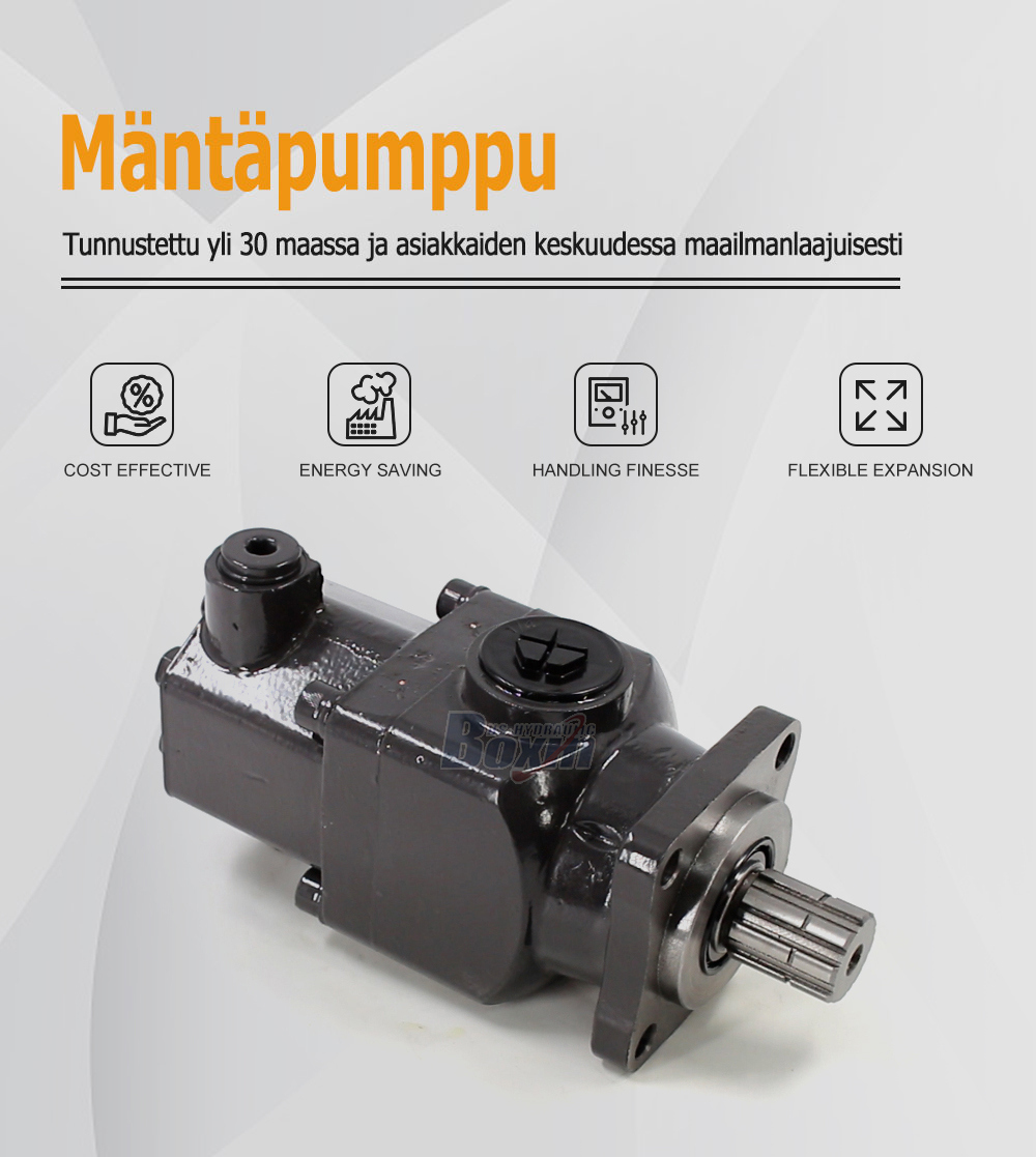 B6-50 50 cc/rev Hydraulic Piston Pump for Industrial Systems