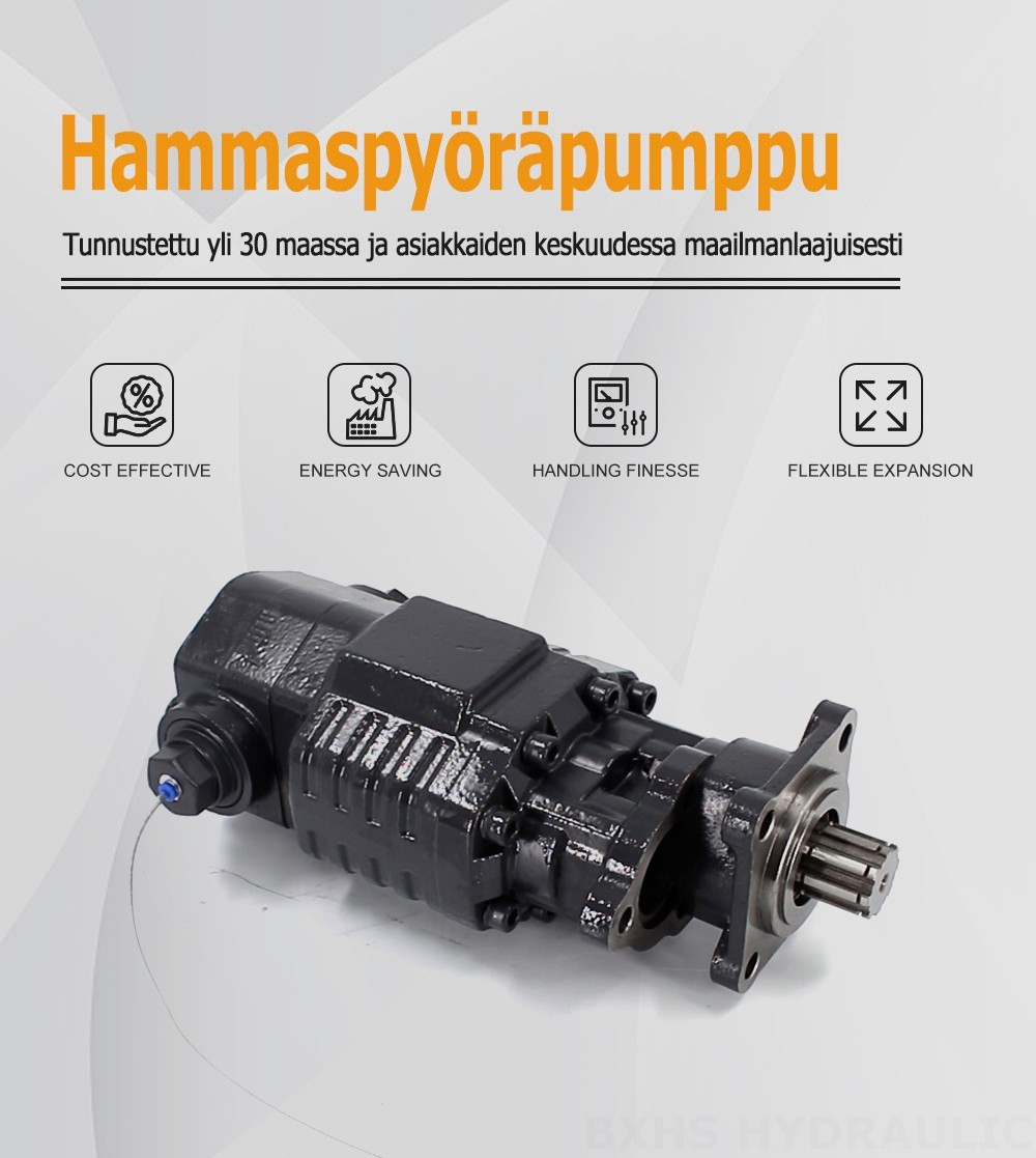 BF110A-ZF1 110 cm³/kierros 20 MPa (2900 psi) Hydraulinen hammaspyöräpumppu