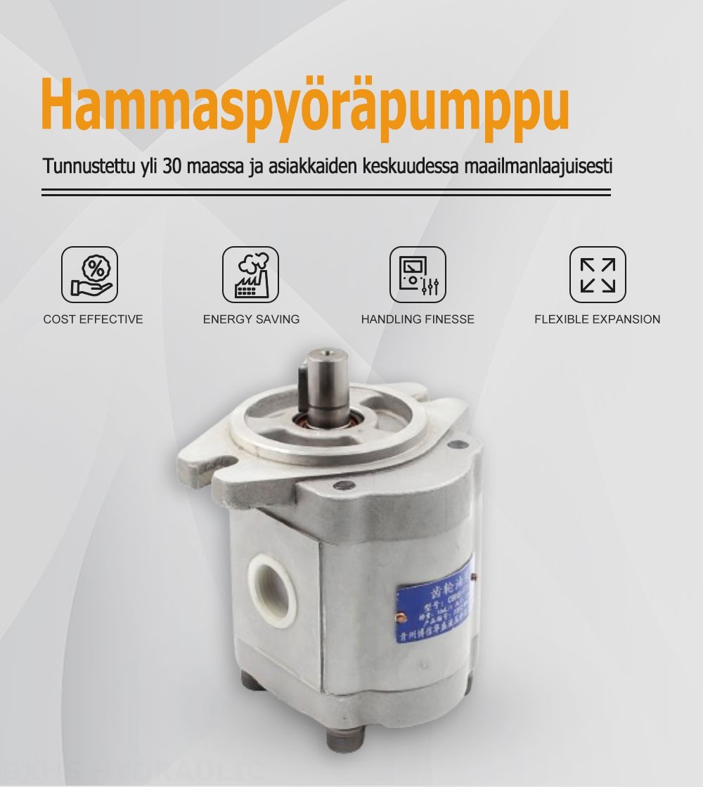 CBHS-F316 Tilavuus kierrosta kohti Hydraulinen hammaspyöräpumppu