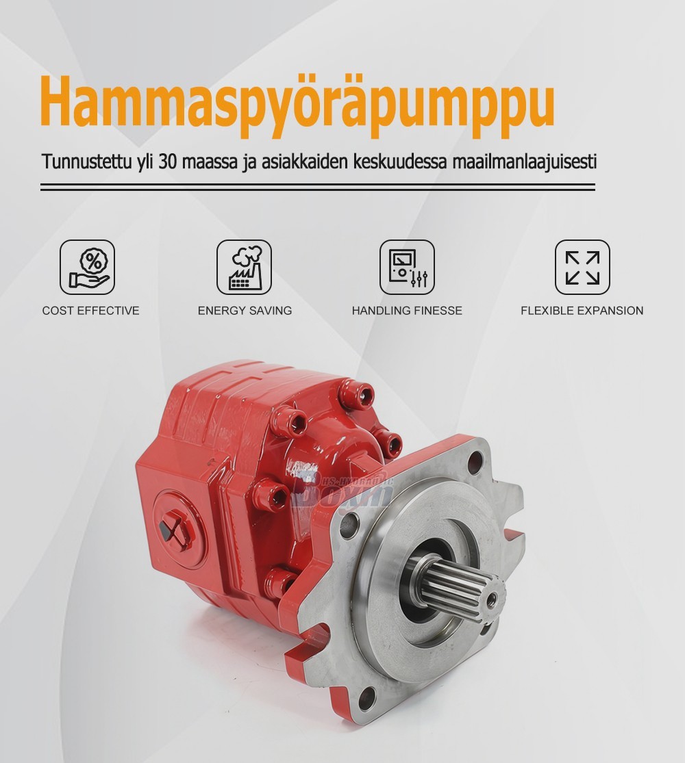 CBHS3100 100 cc/rev Hydraulic Gear Pump Unit Specification