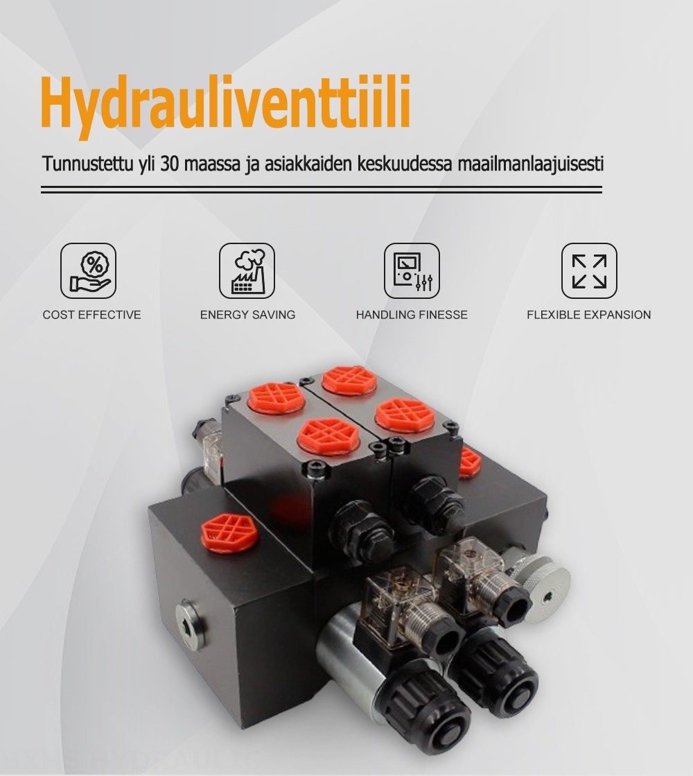 DCV58F Solenoidi 2 jakajaa Suuntaventtiili