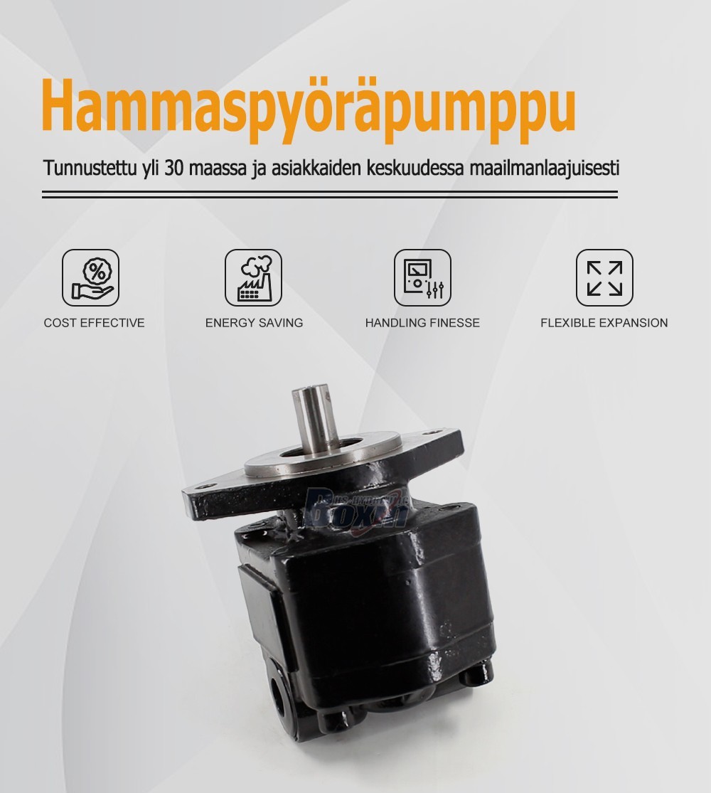 High Performance CBHS-FC25 Hydraulic External Gear Pump 25cc