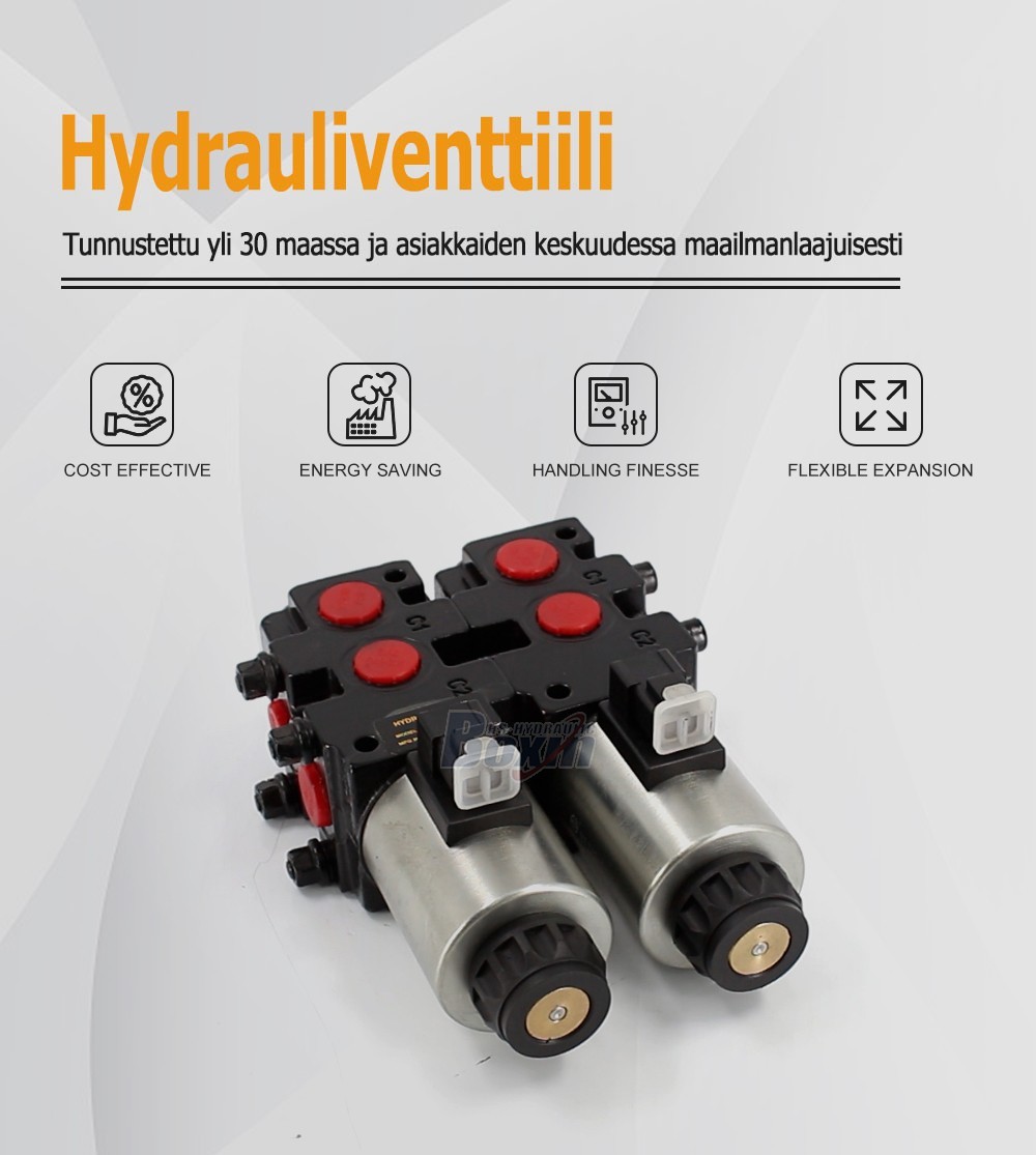 Seeking Global Distributors for HSV09 Solenoid 2 Spool Flow Diverter Valve