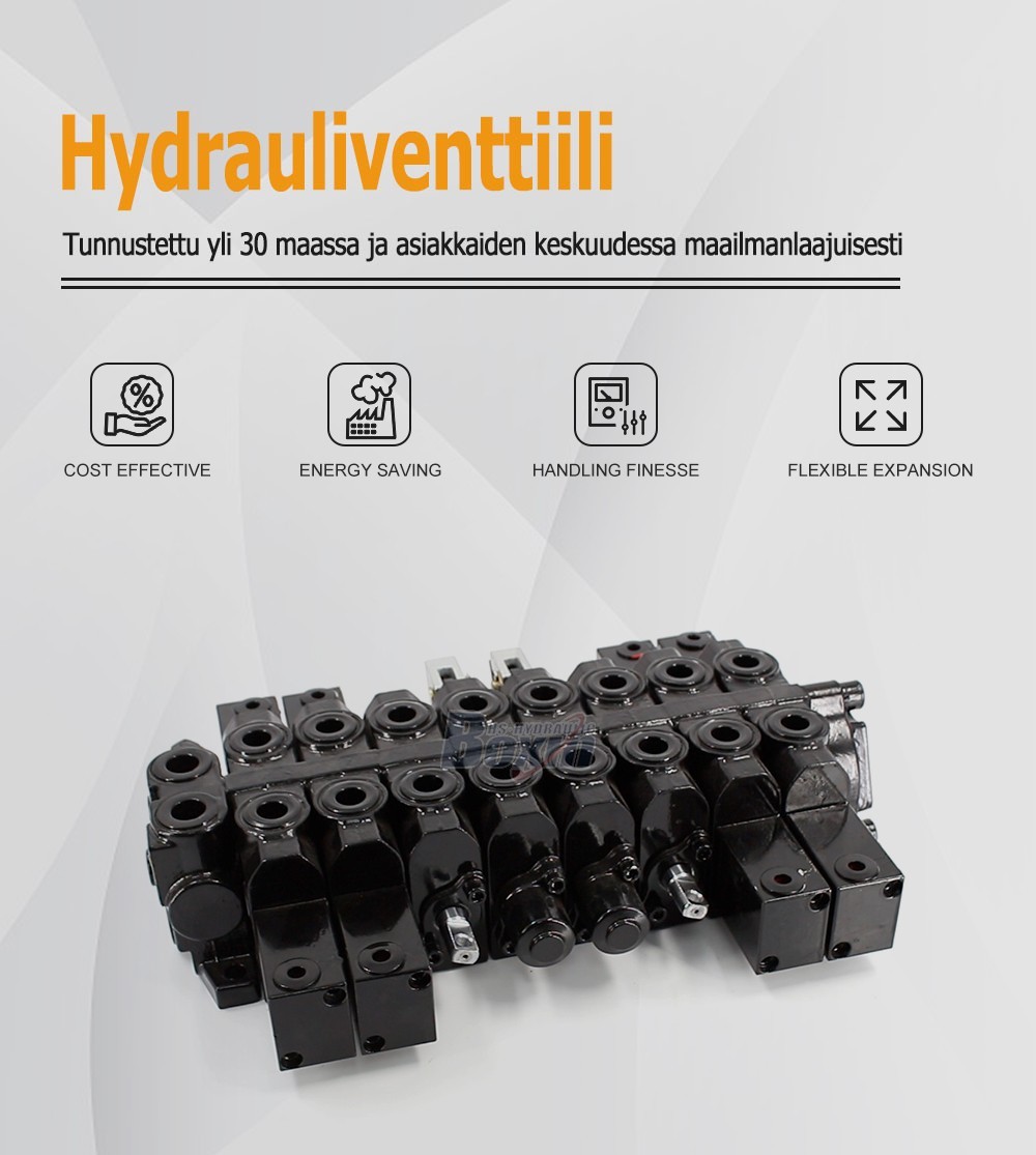 HSW50 Series 8 Spool Monoblock Control Valve for Hydraulic Systems