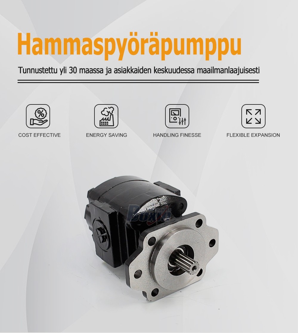 Global Partnership Opportunity for P21A646JEAL20-25 64.6 cc/rev Hydraulic Gear Pump Distribution
