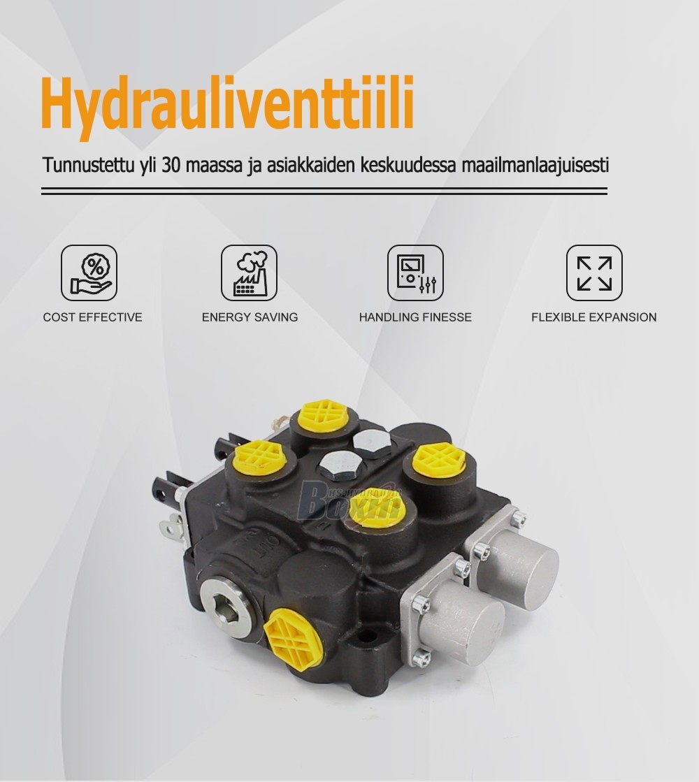 Bulk Order RD5200NPT-2OT 2 Spool Hydraulic Valve Factory Supply