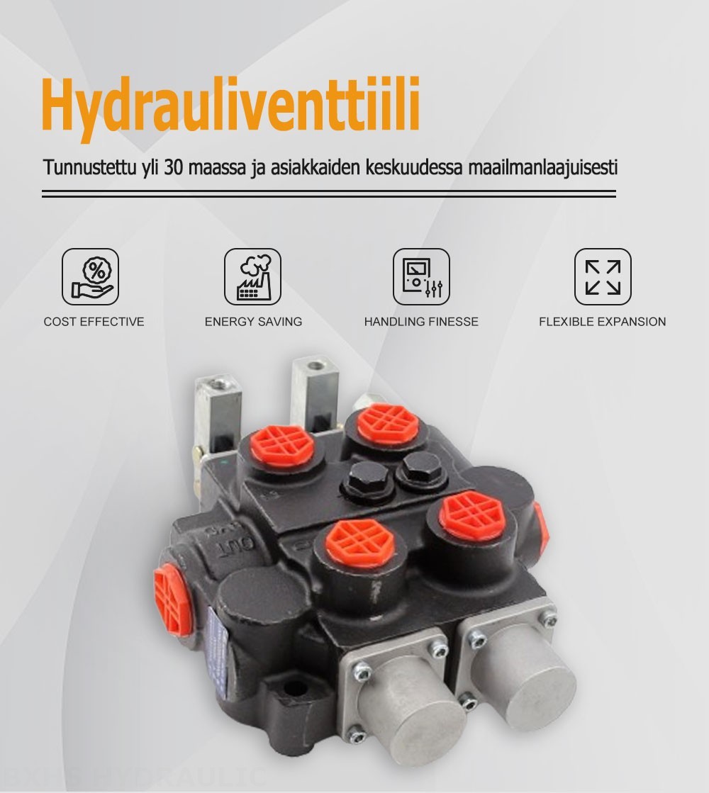 RD5200 Manuaalinen 2 jakajaa Hydraulinen ohjausventtiili