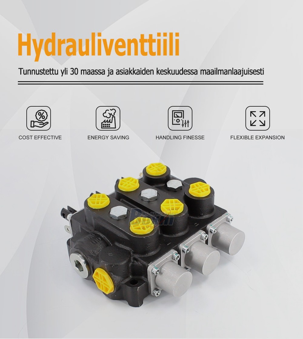 Global Distributors and Wholesalers Wanted for RD5300NPT-3OT Manual 3 Spool Hydraulic Valve