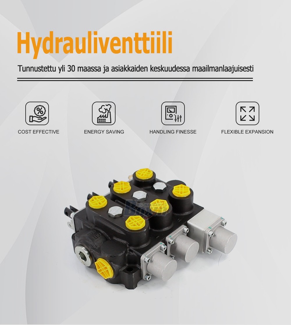 Industrial Grade RD5300NPT-QTW-2OT Manual Hydraulic Valve with 3 Spools