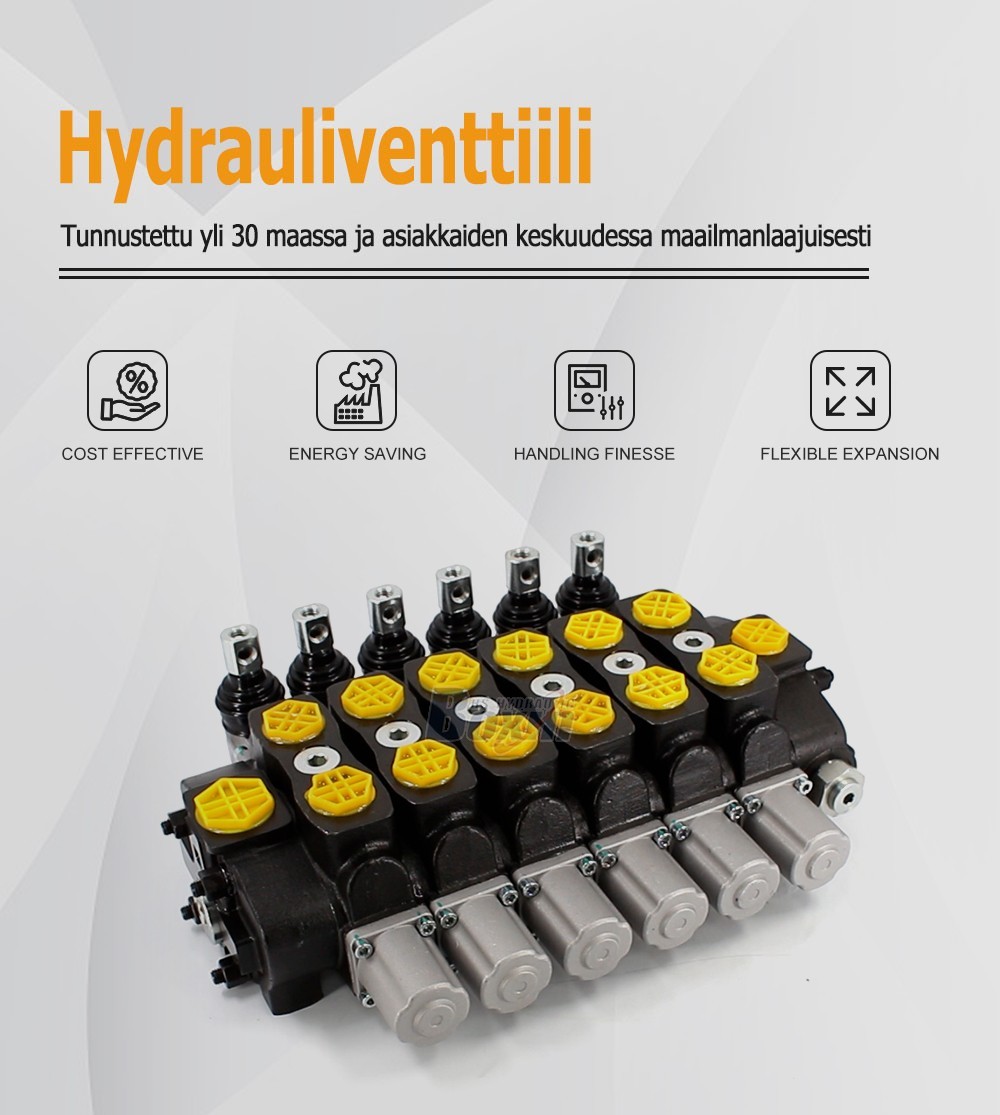 Industrial Grade SD8 Manual Sectional Hydraulic Valve