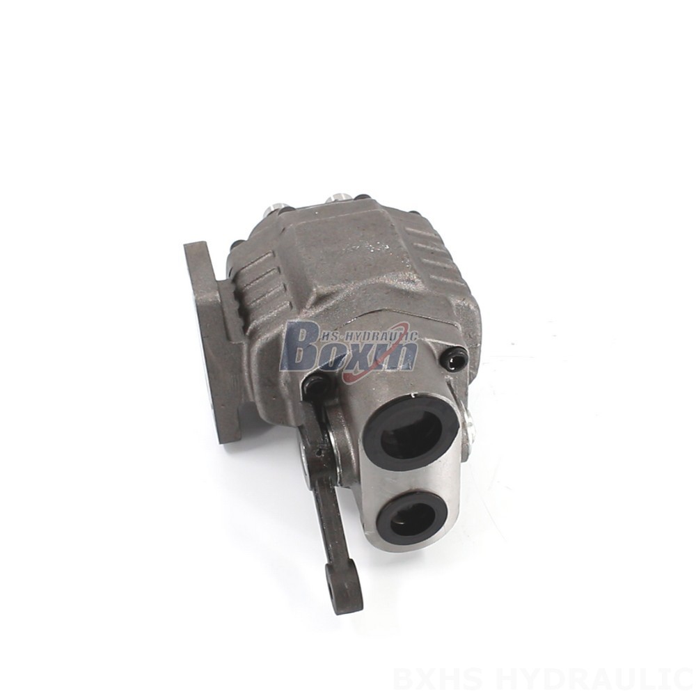 BF110M Hydraulic Gear Pump: Robust 20 MPa (2900 psi) Design main image