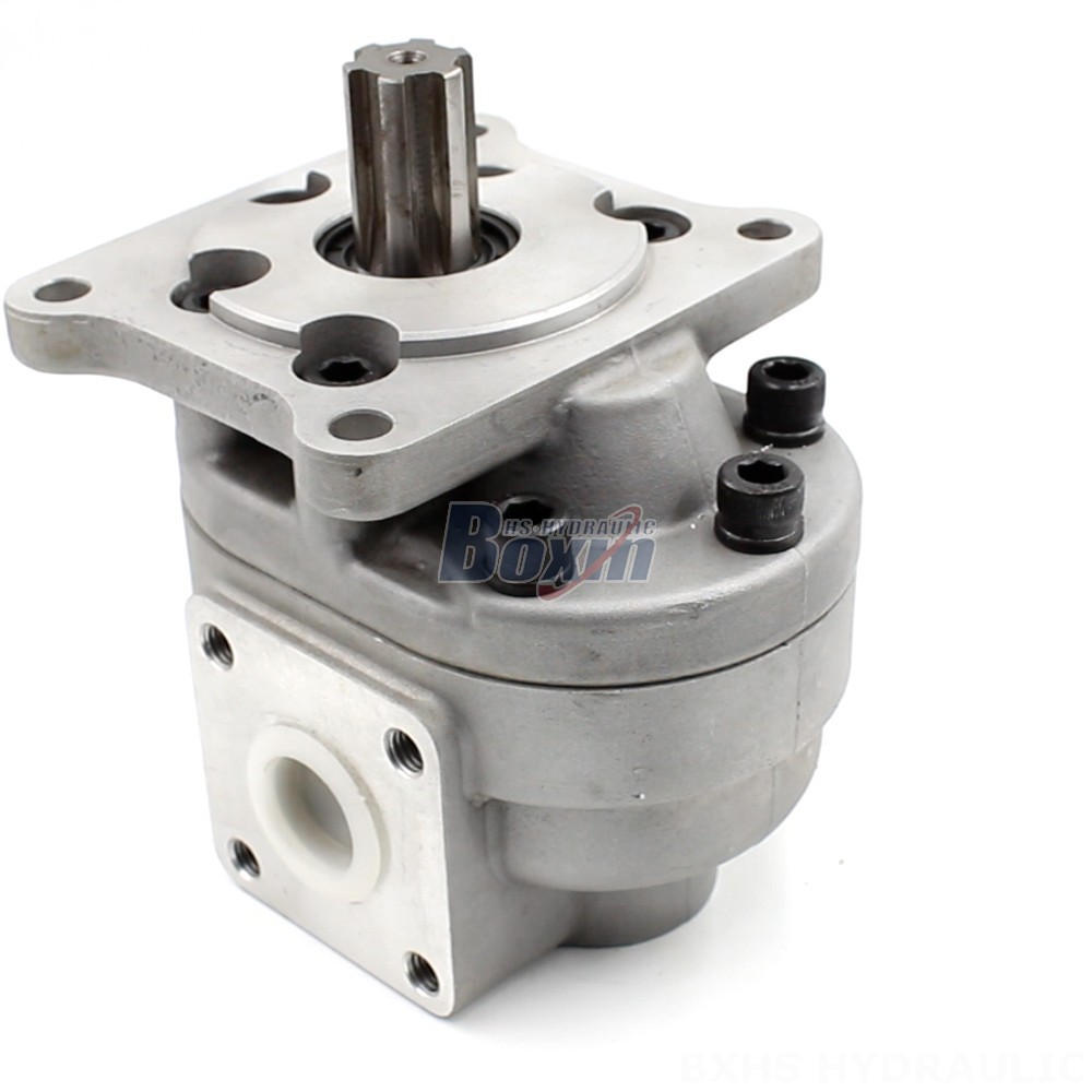 CBHS-F550 50 cc/rev Hydraulic Gear Pump: Manufacturer & Global Supplier main image