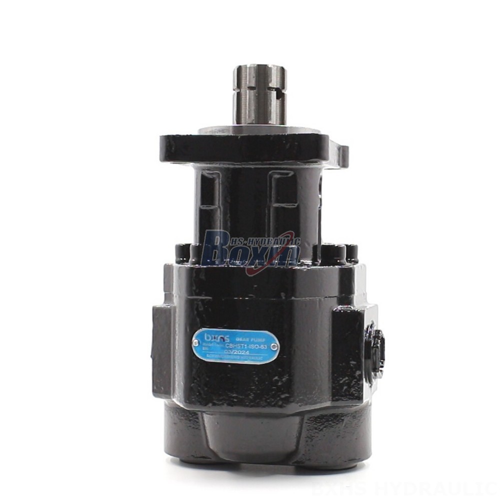 Bespoke Hydraulic Solutions: Leverage Our Expertise for CBHST1-ISO-63 Pumps main image