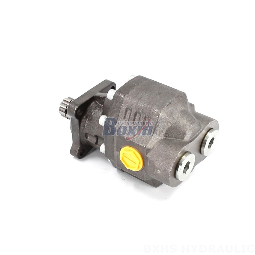 Your Manufacturing Partner for CBHW-ISO-100-Y 22 MPa Hydraulic Gear Pumps main image