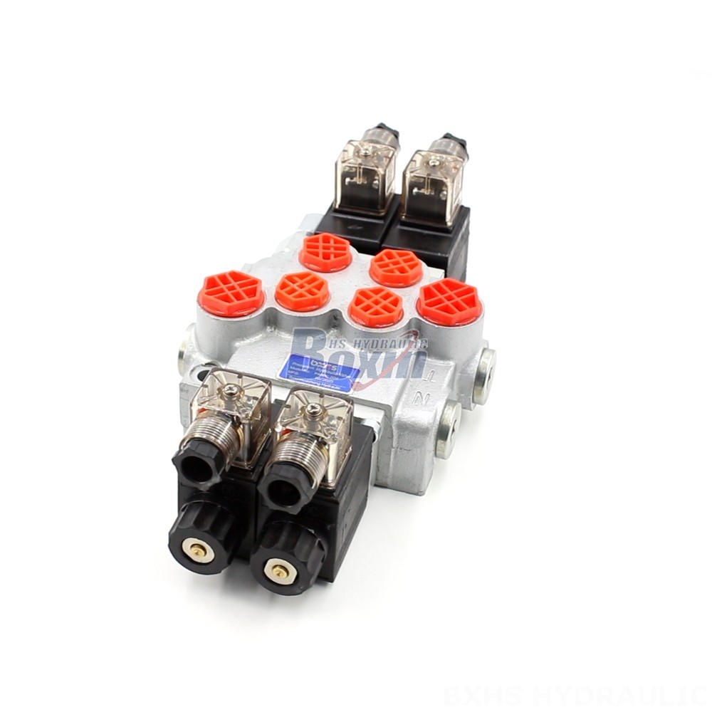 Industrial Solenoid Valve: P40-DKL | Customized Solutions & Engineering Support main image