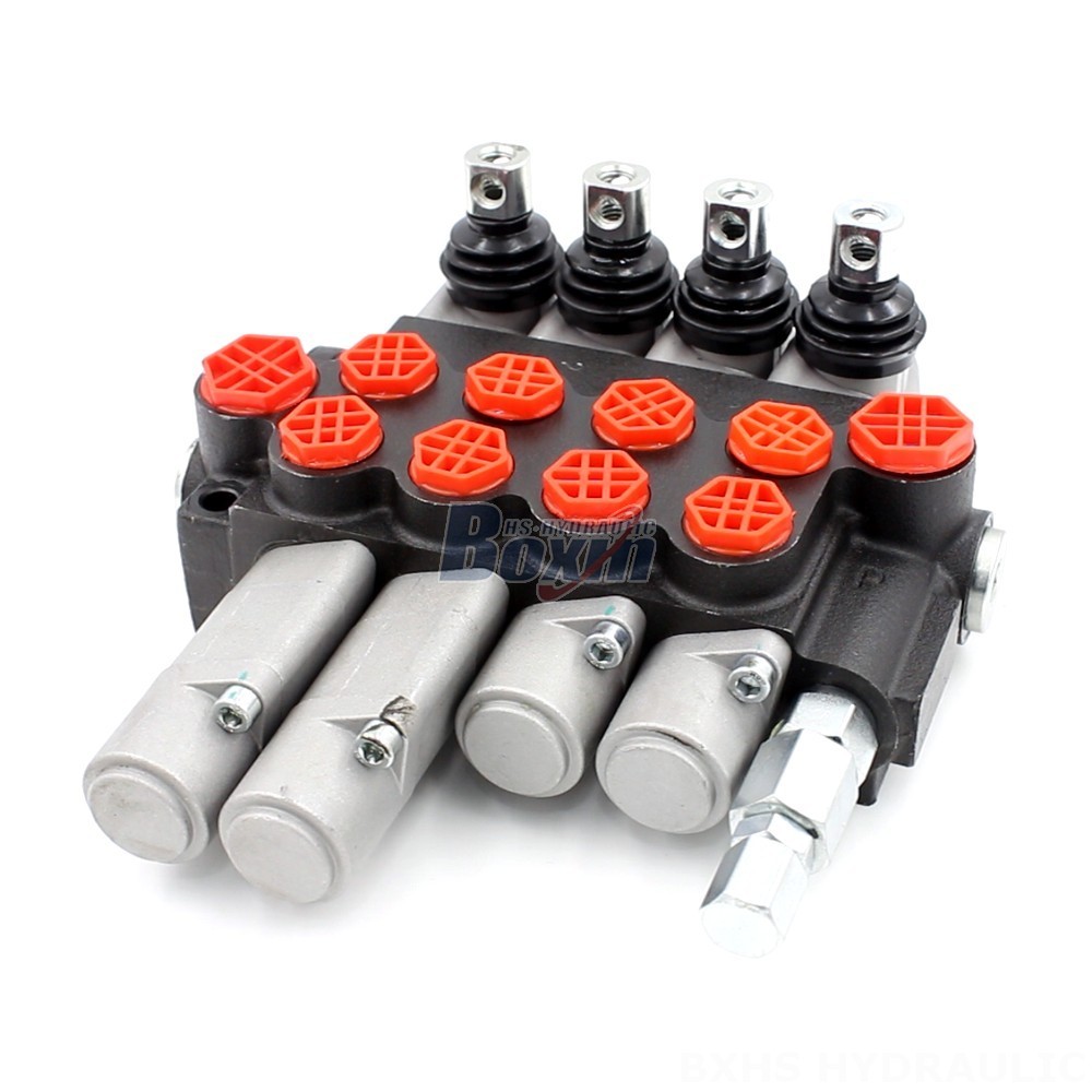 Bespoke Hydraulic Components: P40-G12-G38-2OT-2QTW Valve Customization & Private Labeling main image