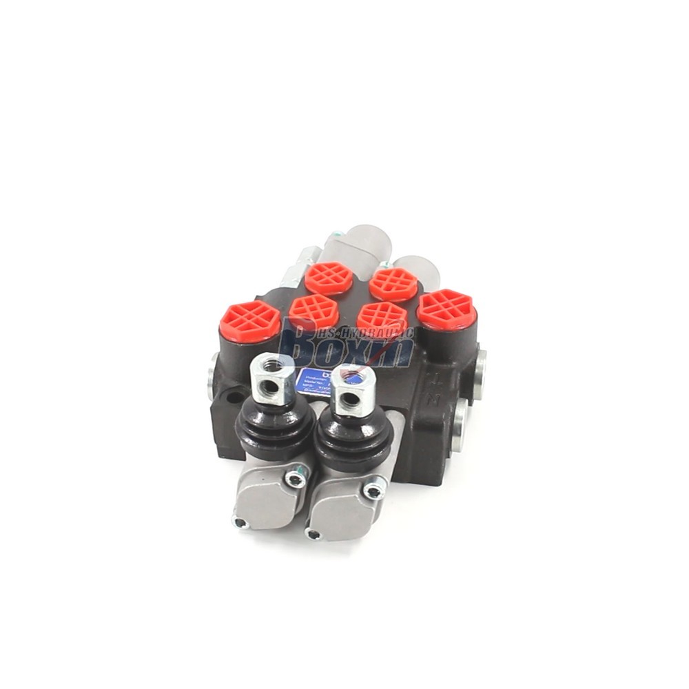 P40-QTW1-QTW Manual 2 Spool Monoblock Directional Valve cover photo