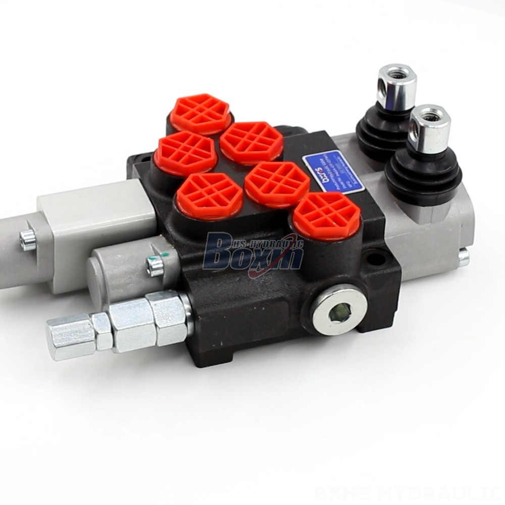 Customized Hydraulic Control: OEM & ODM Expertise for P40A Valves main image