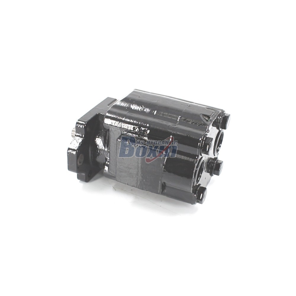 Seeking Global Distributors and Wholesalers for P51A646TEYR25-25 Gear Pump main image