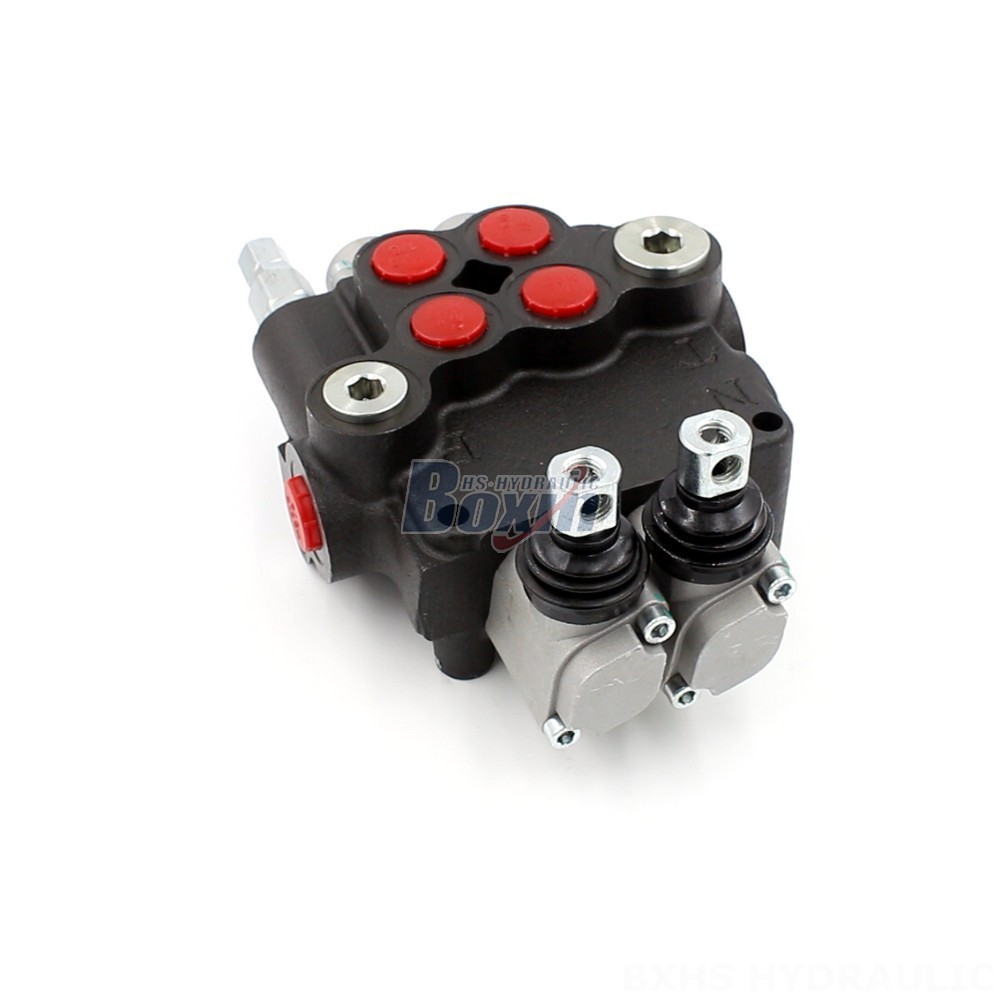 Customizable Hydraulic Valves: P80 Monoblock Series | OEM & ODM Solutions cover photo