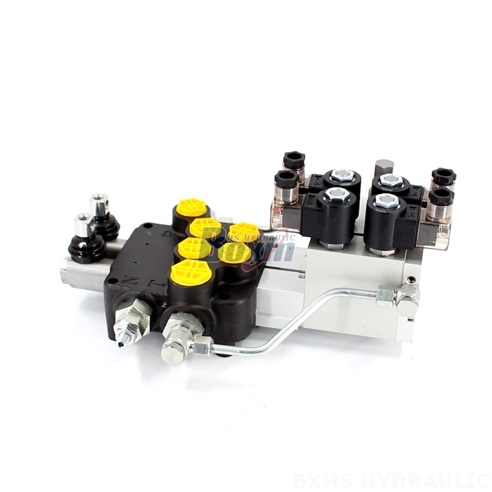 Manufacturer of P80 Monoblock Valves: Wholesale & Customization Available cover photo