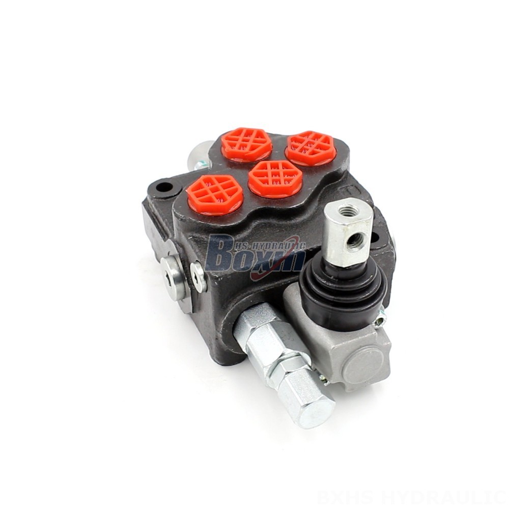 SD5-G38 Manual 1 Spool Monoblock Directional Valve: The Valve You Need main image